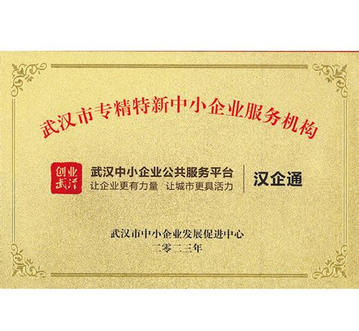 武汉市专精特新中小企业服务机构