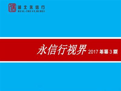 《永信行视界》2017年第3期.pdf