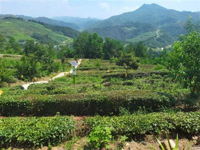 财政衔接推进乡村振兴补助资金项目绩效评价