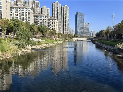 黄孝河流域（江岸片区）生态治理（EOD）项目实施方案