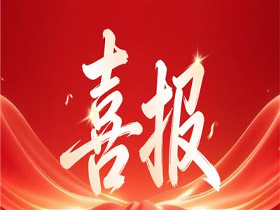 双城报捷｜永信行专业服务成果连获官方A级评价